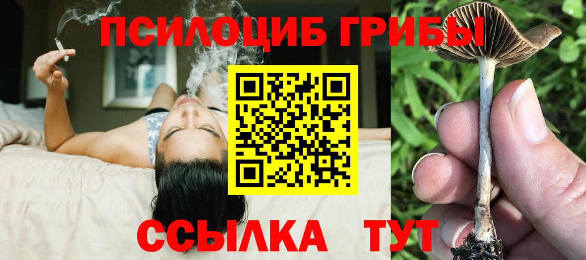 Галлюциногенные грибы Magic Shrooms Майкоп